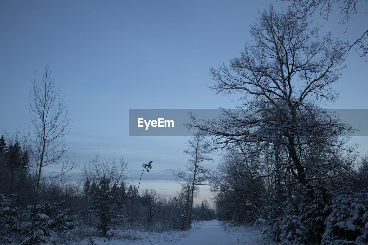 Bare trees on snow covered field against sky