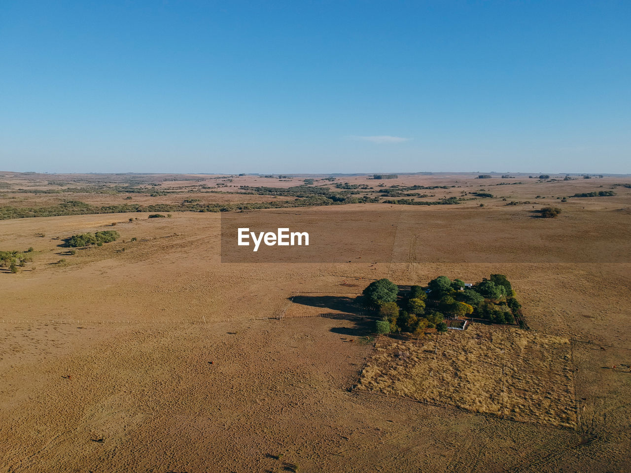 Scenic view of field against clear blue sky