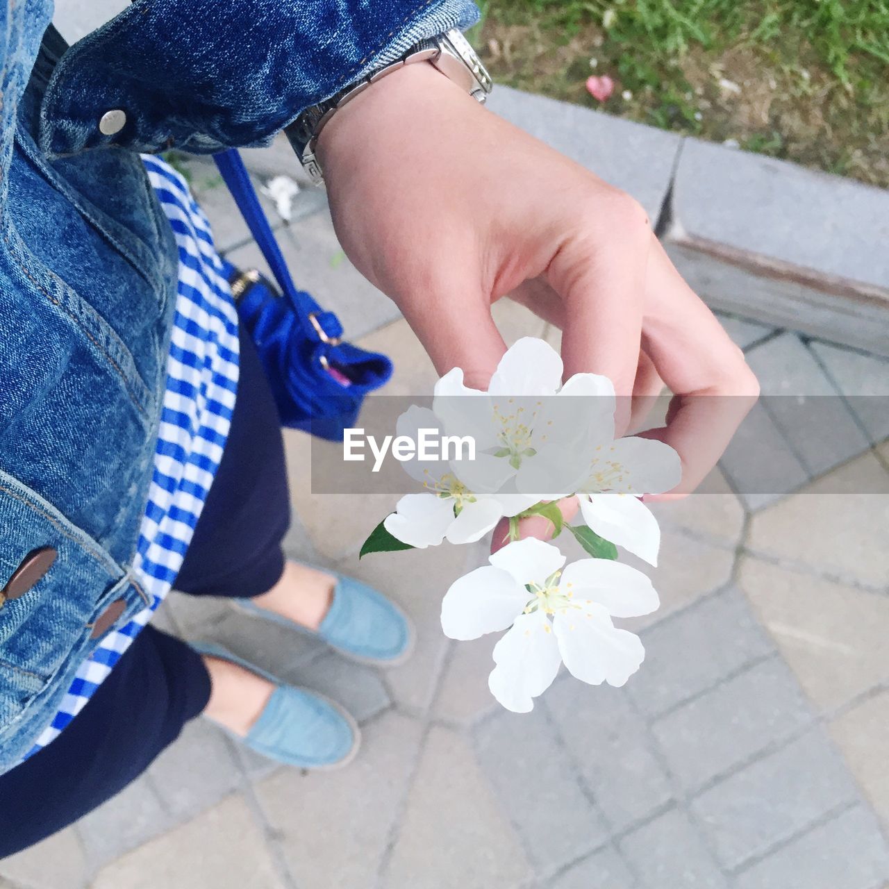 WOMAN HOLDING FLOWERS