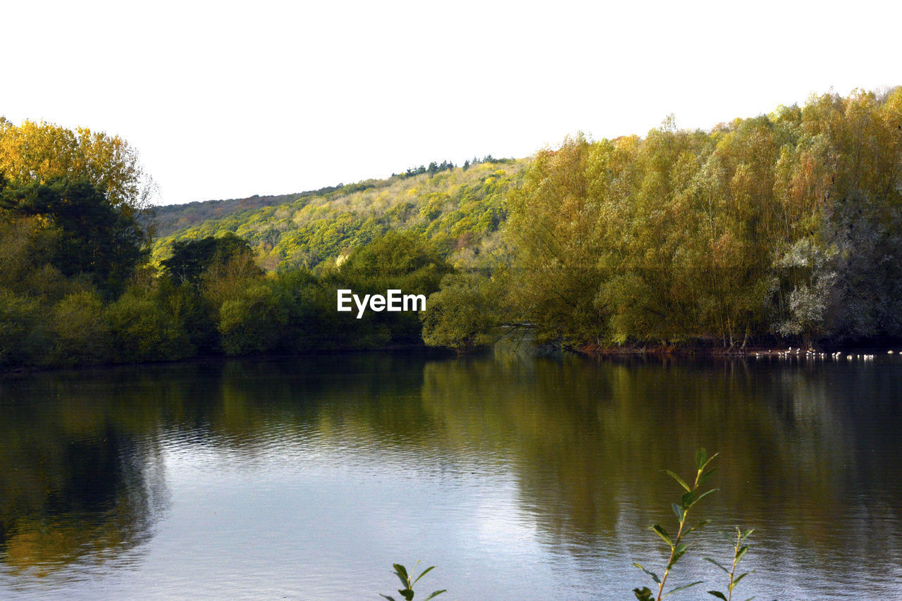 LAKE BY TREES AGAINST CLEAR SKY