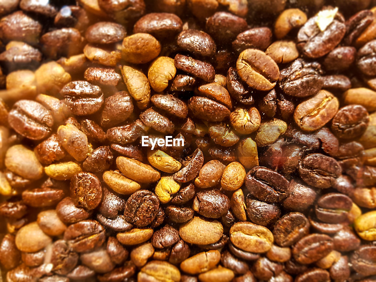 FULL FRAME SHOT OF ROASTED COFFEE BEANS IN A ROW