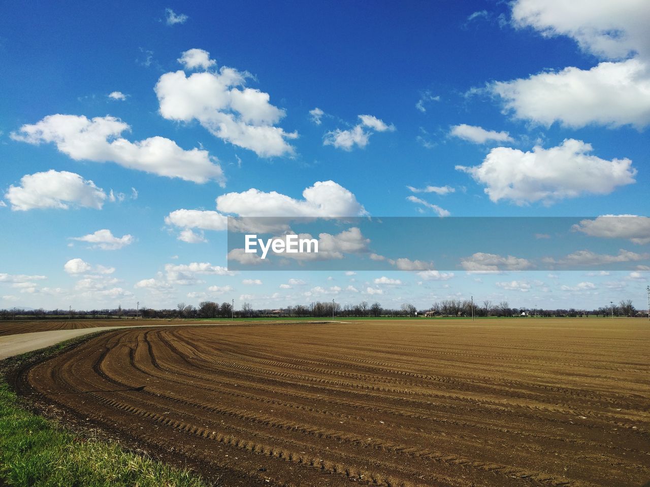 FIELD AGAINST SKY