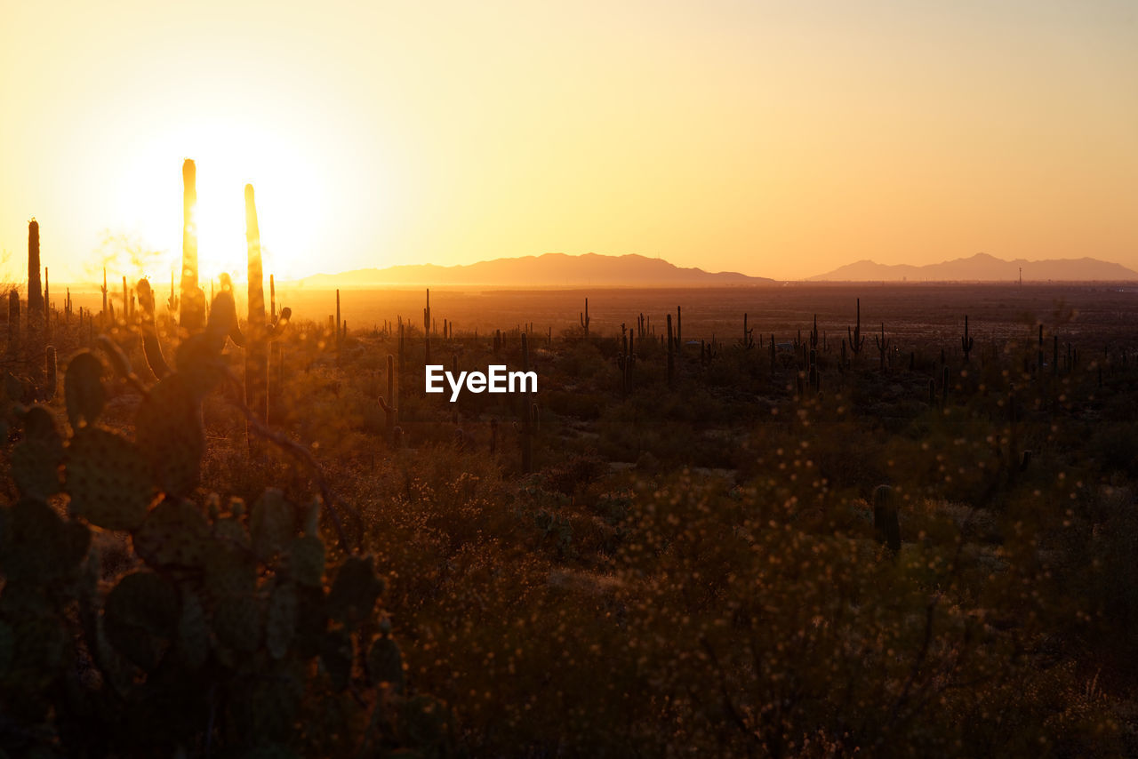 SCENIC VIEW OF LAND AGAINST SKY DURING SUNSET