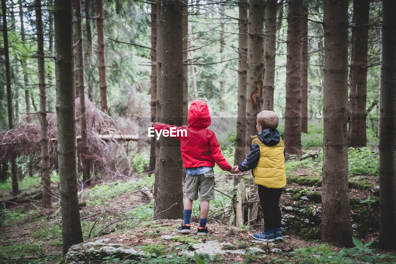 Two children together by the hand in the forest - two brothers walking in the forest on the pathway