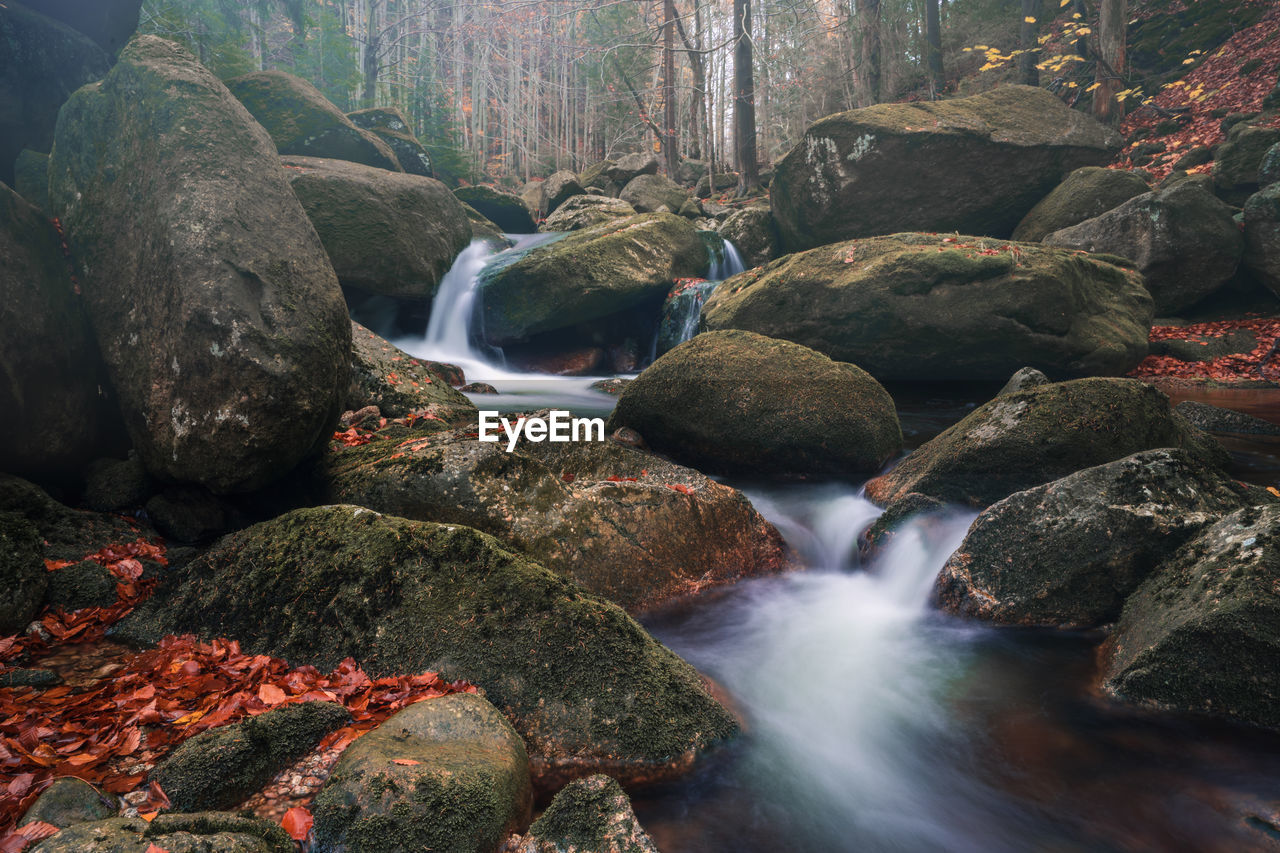 SCENIC VIEW OF WATERFALL AT FOREST