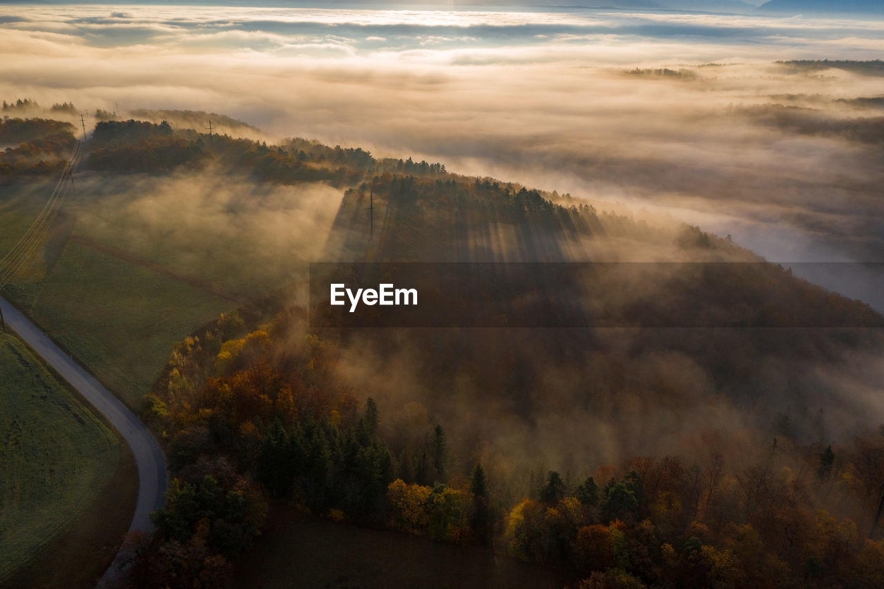 High angle view of trees on landscape against sky