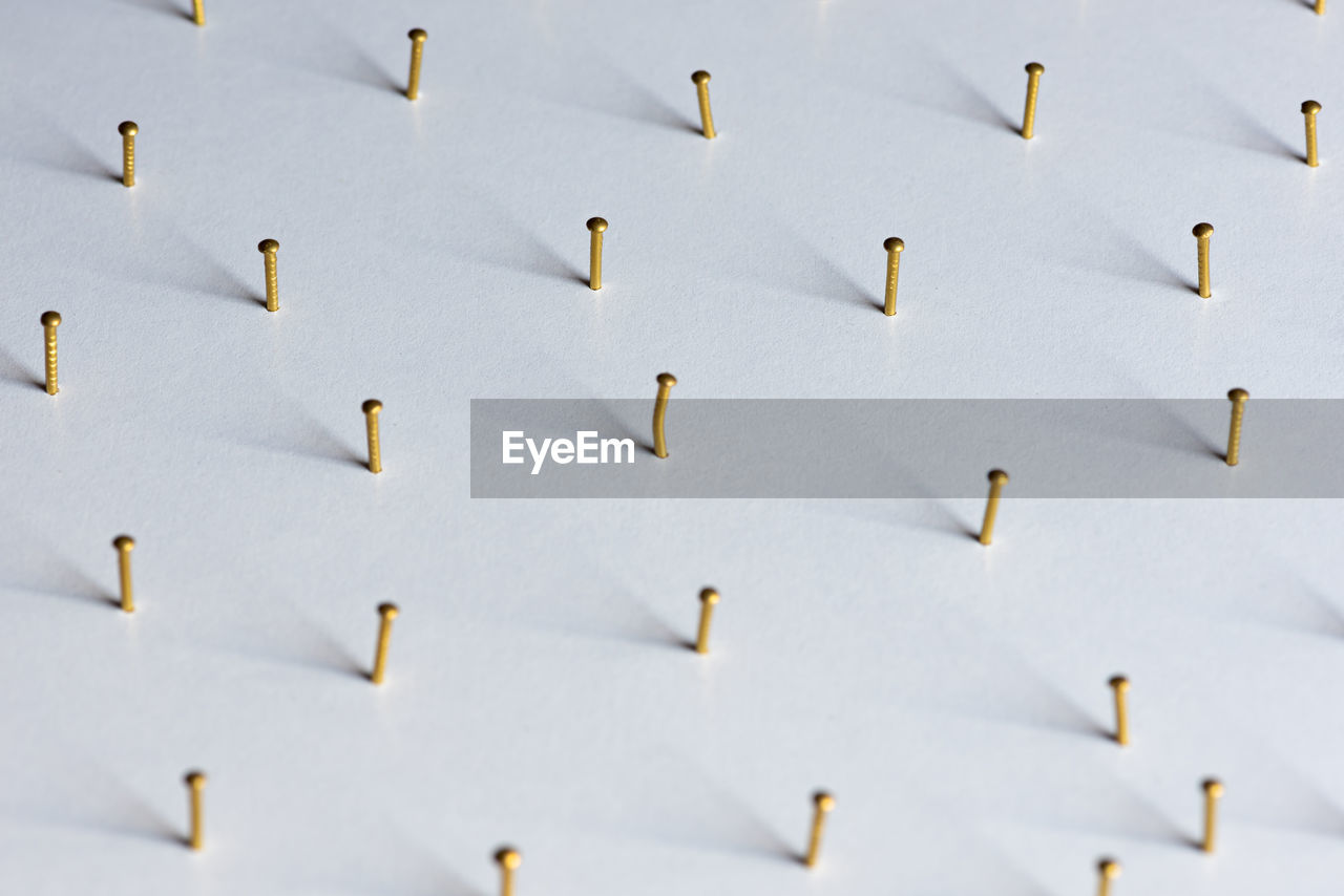 low angle view of birds against white background