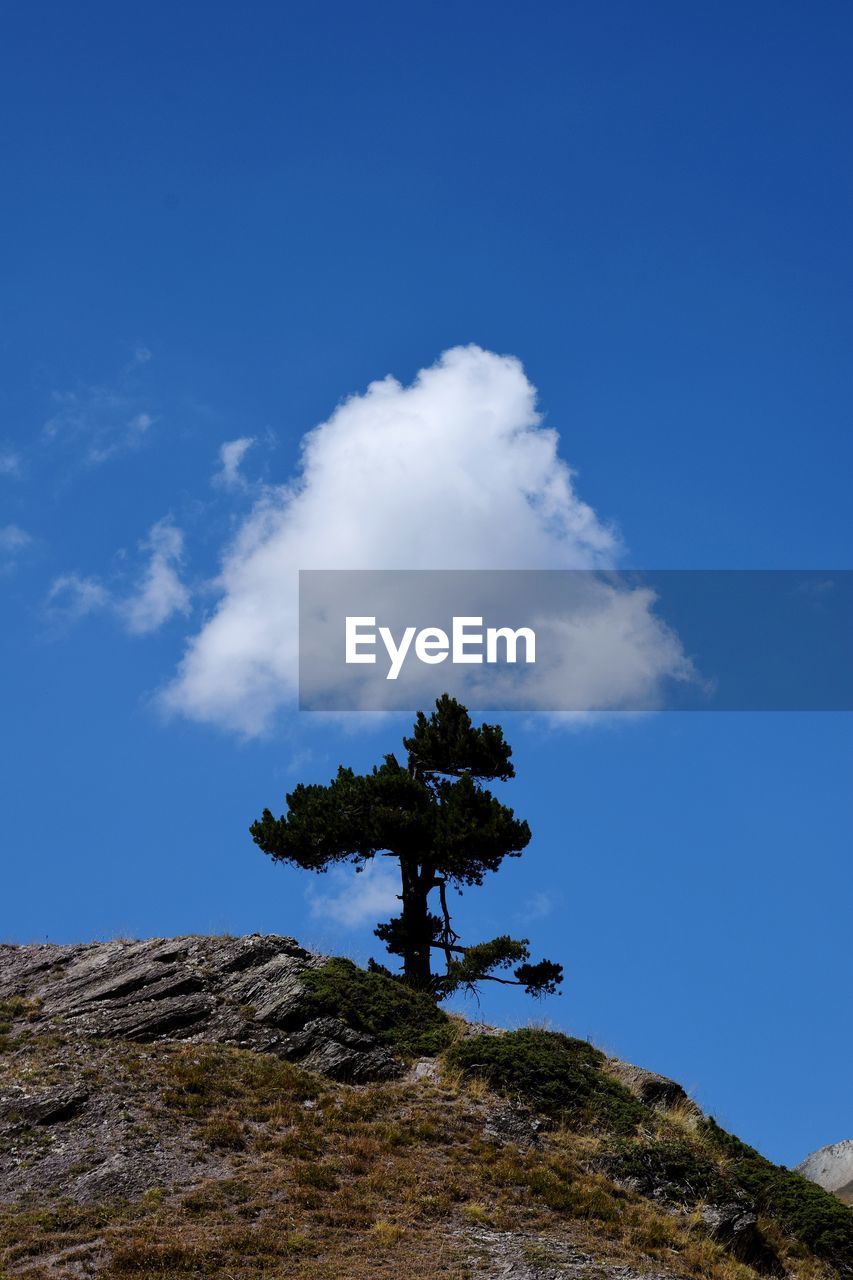 sky, cloud, plant, tree, nature, blue, mountain, scenics - nature, beauty in nature, environment, rock, landscape, land, non-urban scene, tranquility, no people, outdoors, day, pine tree, tranquil scene, pinaceae, coniferous tree, travel, travel destinations, wilderness, physical geography, idyllic, low angle view, forest, horizon