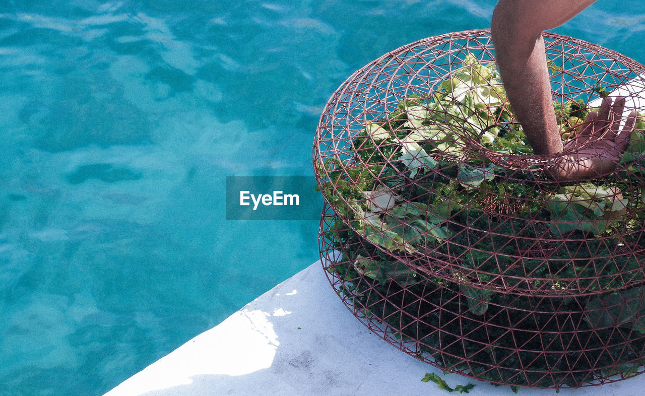 Man preparing a fishing cage