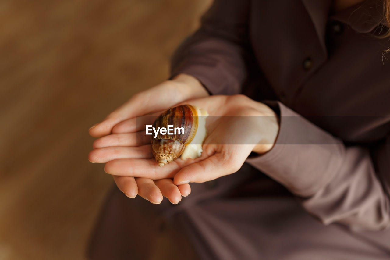 Midsection of person holding ice cream