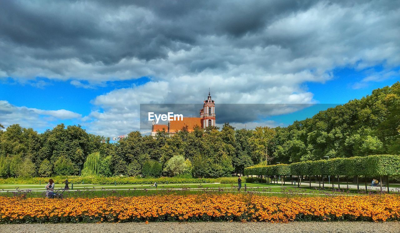 plant, cloud, sky, flower, rural area, landscape, nature, tree, field, agriculture, environment, land, beauty in nature, meadow, rural scene, architecture, hill, growth, scenics - nature, horizon, travel destinations, flowering plant, built structure, outdoors, day, grass, autumn, no people, travel, building, crop, tranquility, religion, prairie, farm