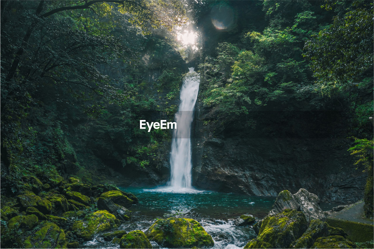 Scenic view of waterfall in forest