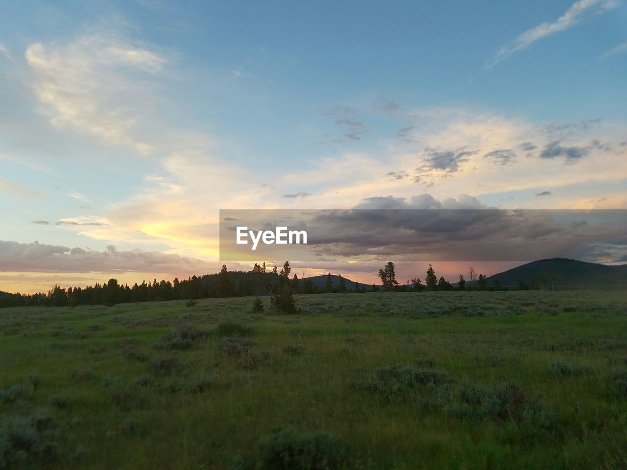 Scenic view of grassy field against sky at sunset