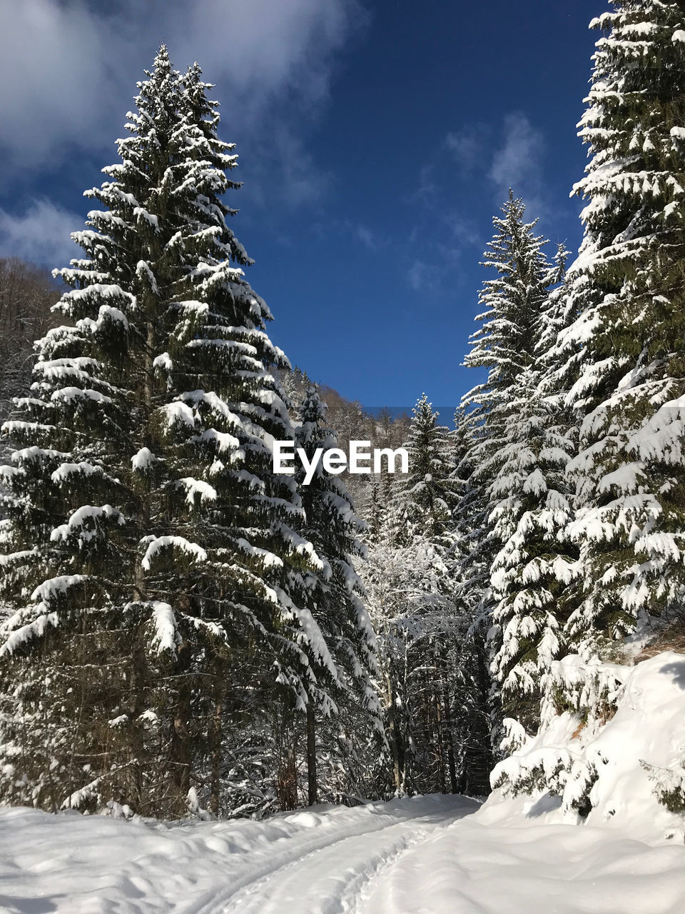 Snow covered mountain against sky