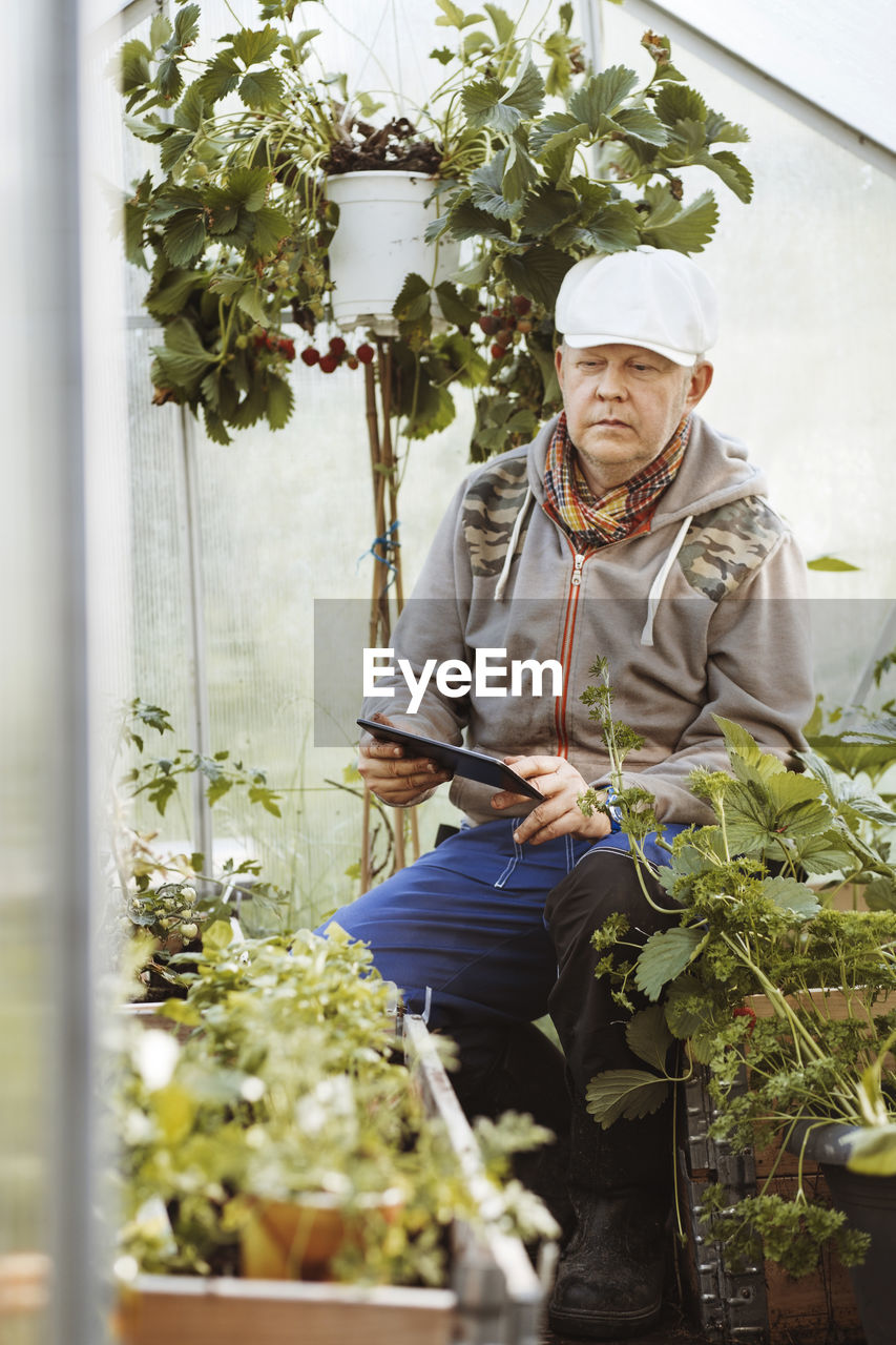 Mature gay man using digital tablet while examining plants in greenhouse