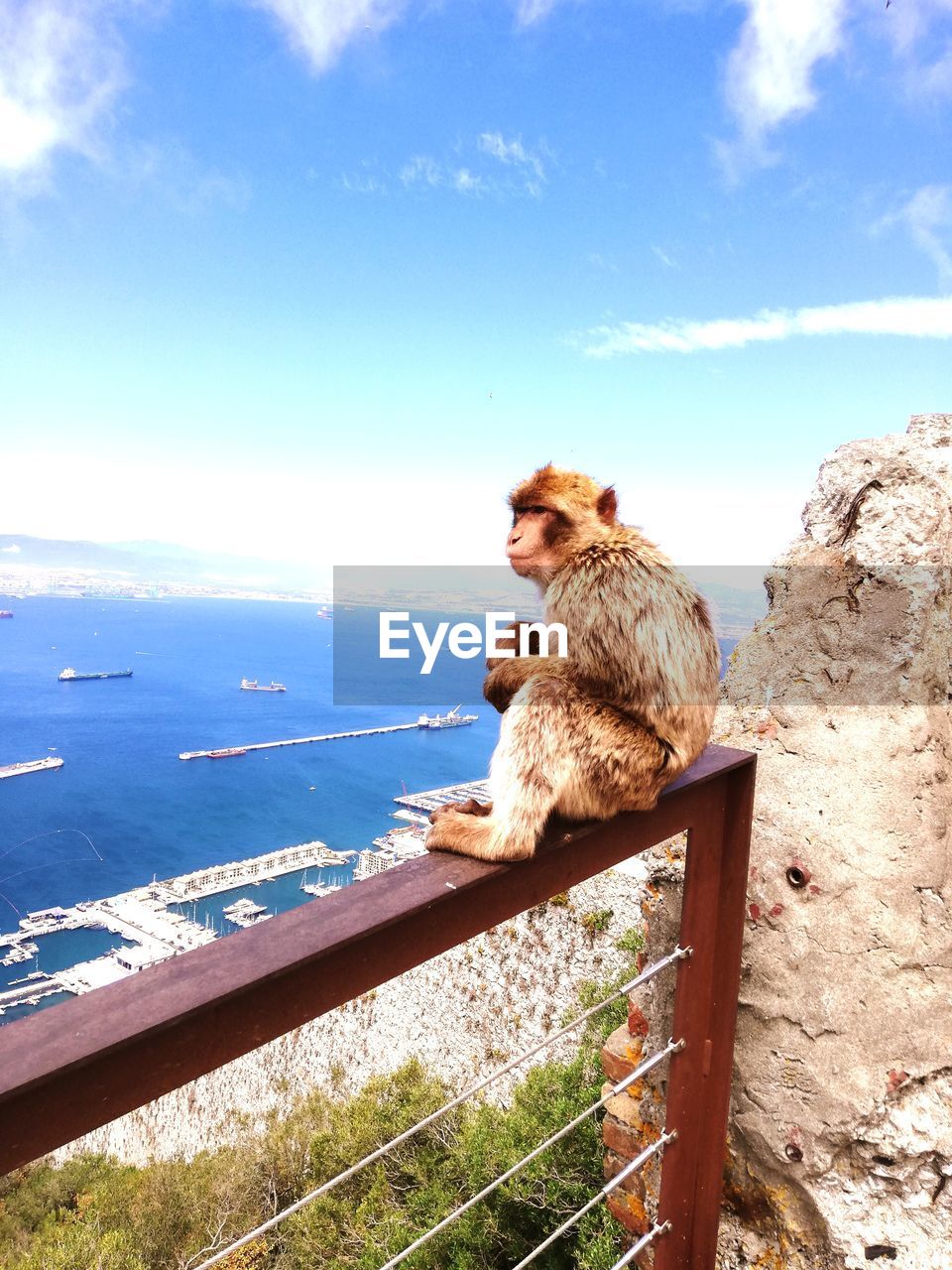 Monkey sitting on rock against sky