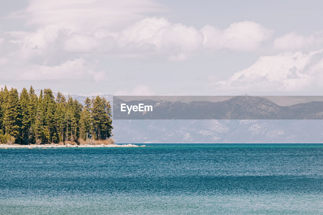 Peaceful calm landscape with fir trees and snowy mountains on the background, lake tahoe