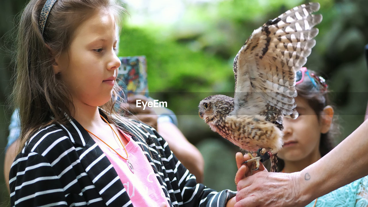 Domestic owl. girl holding on hand and strokes a small motley owl. close-up. in the forest