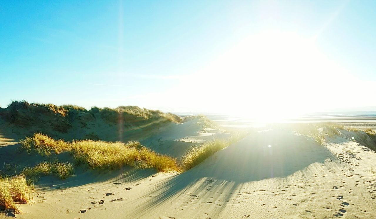 Scenic view of landscape against blue sky