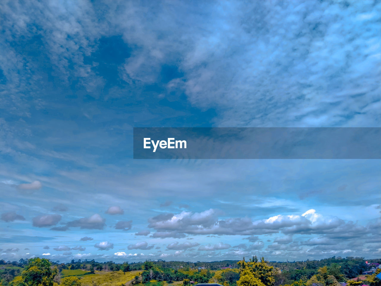 SCENIC VIEW OF TREES AGAINST SKY