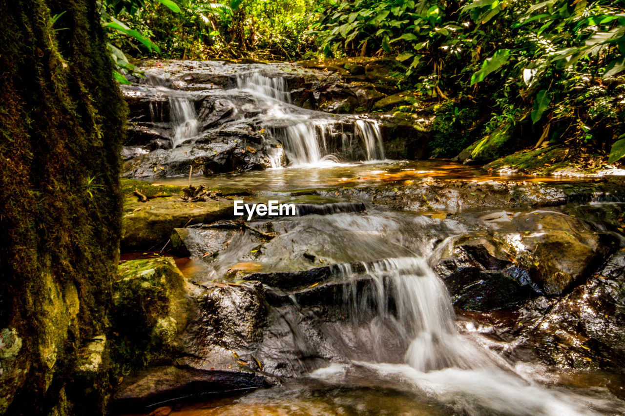 SCENIC VIEW OF WATERFALL