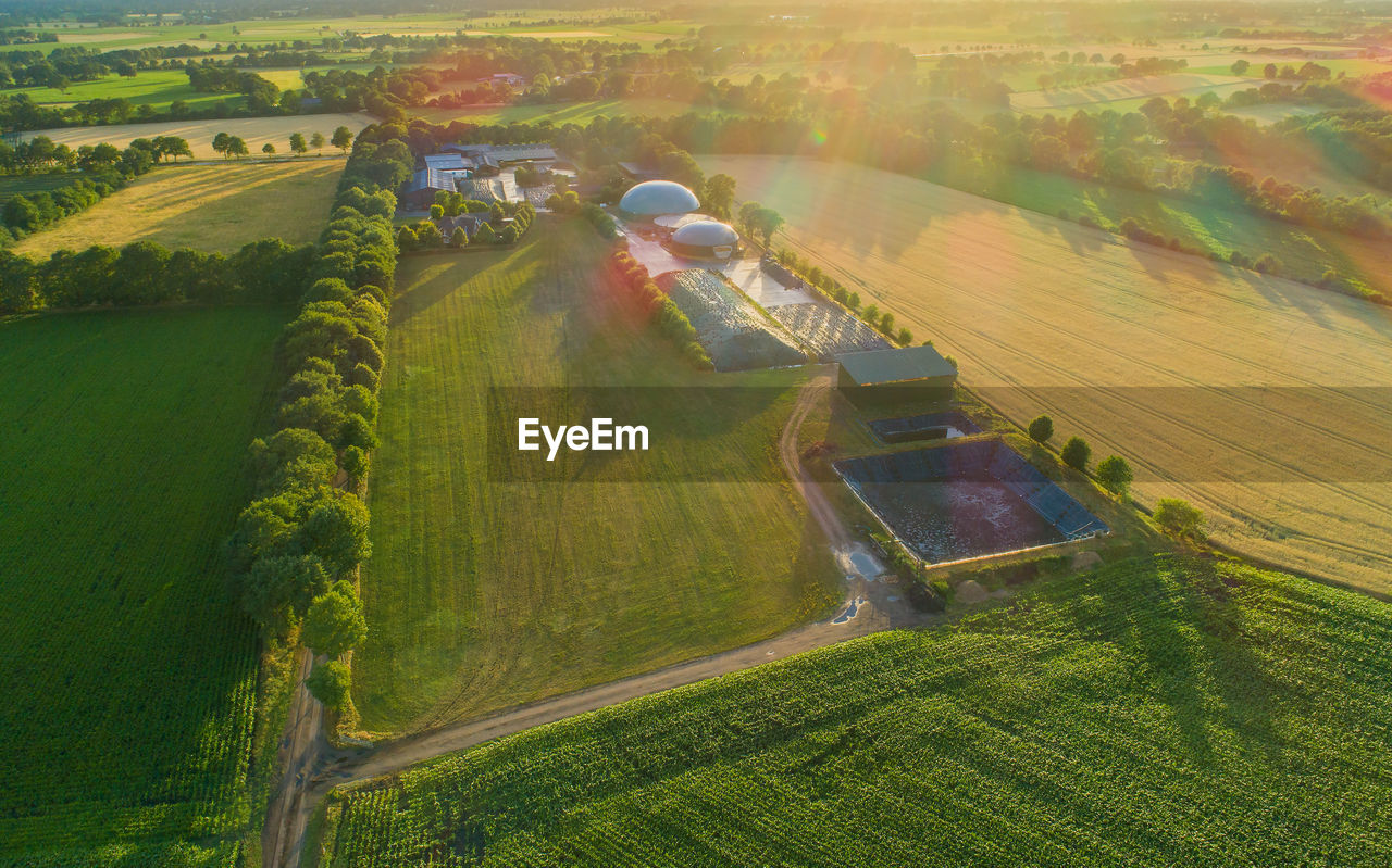 Aerial view of agricultural field