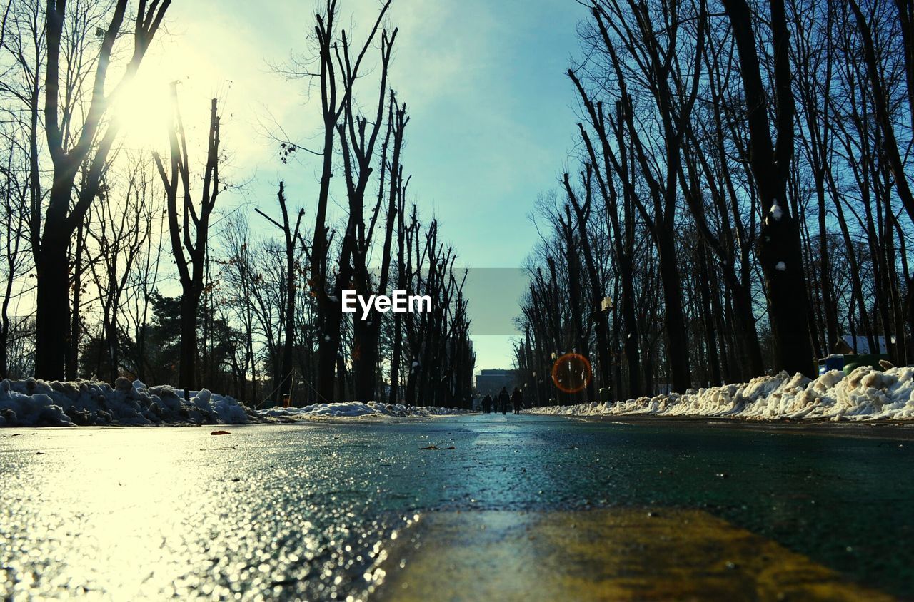 Street amidst bare trees during winter