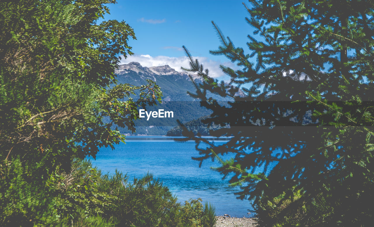 SCENIC VIEW OF TREE BY MOUNTAINS AGAINST SKY