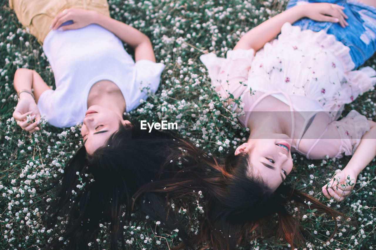 High angle view of young friends lying on flowerbed