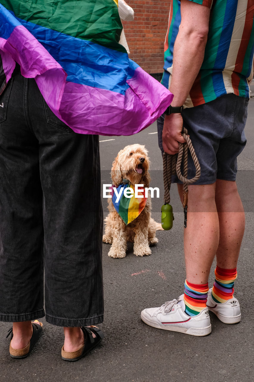 Low section of people standing on street with dog in pride flag 