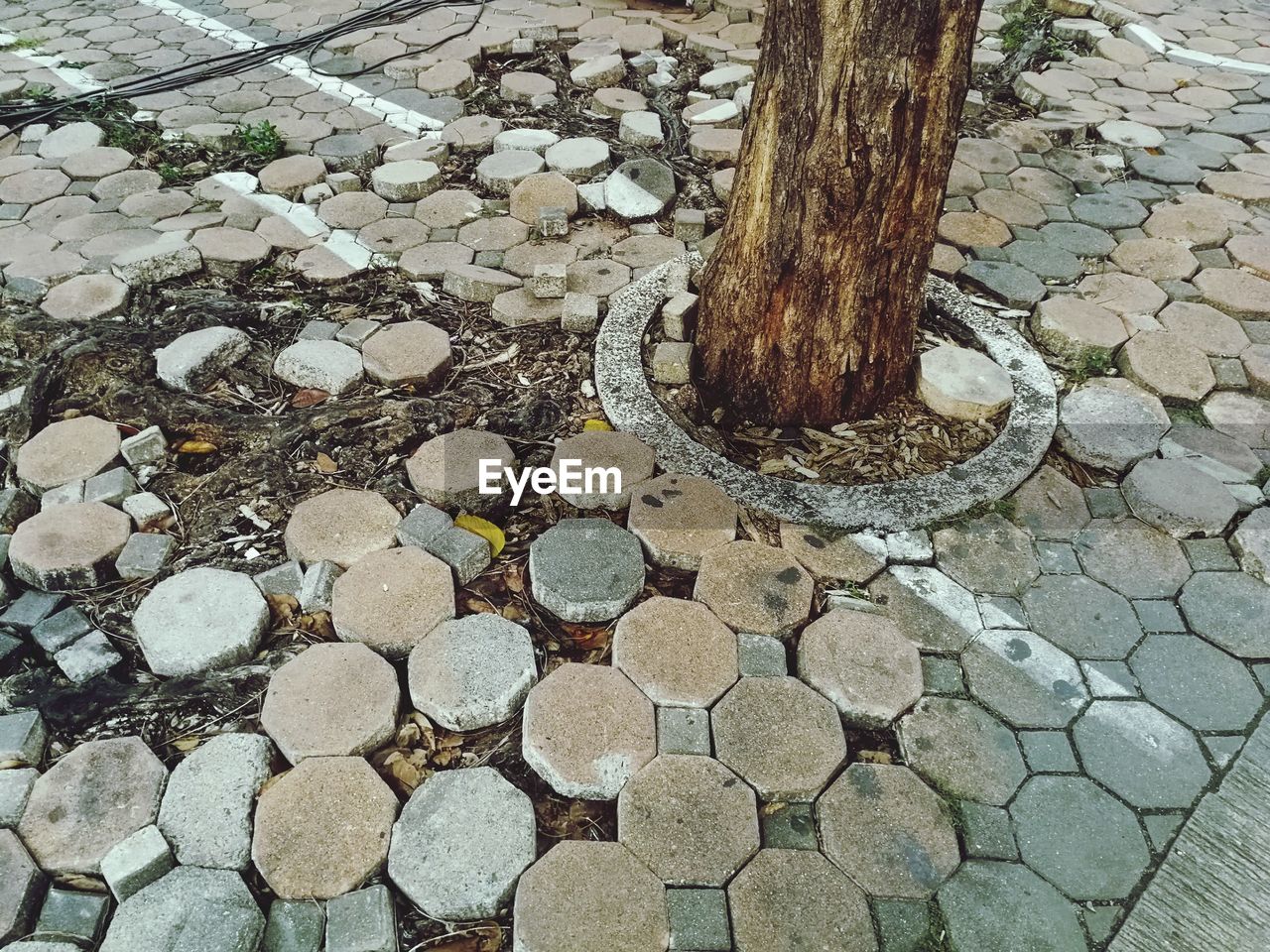 HIGH ANGLE VIEW OF STONE ON FOOTPATH