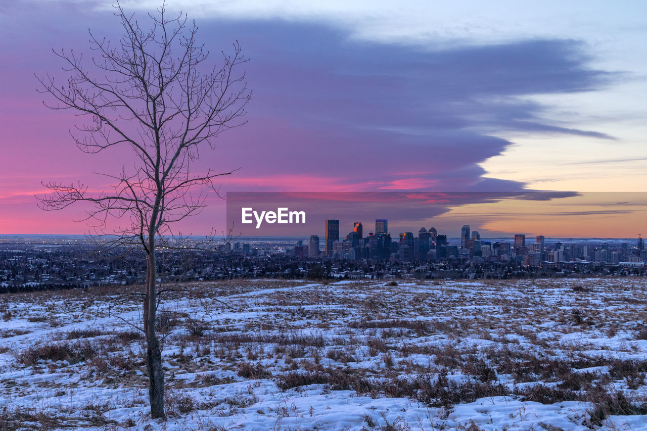 Cotton candy sky over calgary on a winter morning