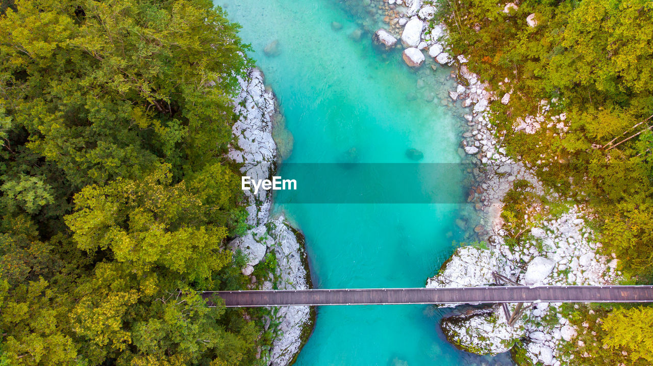 HIGH ANGLE VIEW OF SWIMMING POOL BY TREE