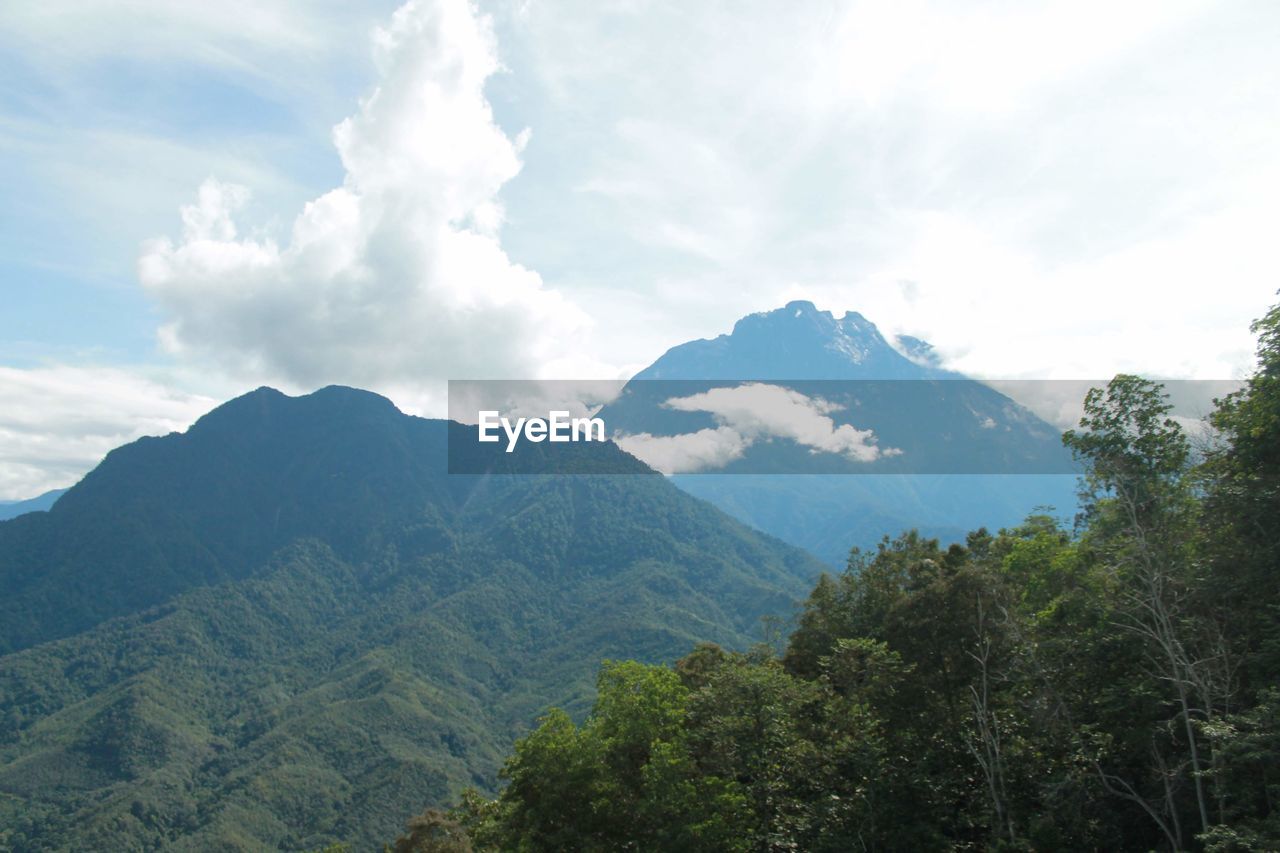 mountain, environment, scenics - nature, tree, landscape, sky, beauty in nature, cloud, mountain range, nature, plant, land, forest, travel, pinaceae, coniferous tree, pine tree, travel destinations, ridge, no people, tranquility, outdoors, tourism, pine woodland, wilderness, non-urban scene, tranquil scene, mountain peak, day, valley, vacation, trip, plateau, green, holiday, activity, leisure activity, idyllic, social issues, summer