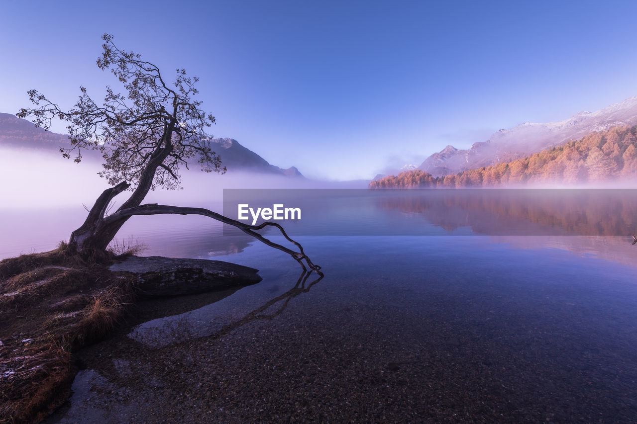 Scenic view of lake against blue sky