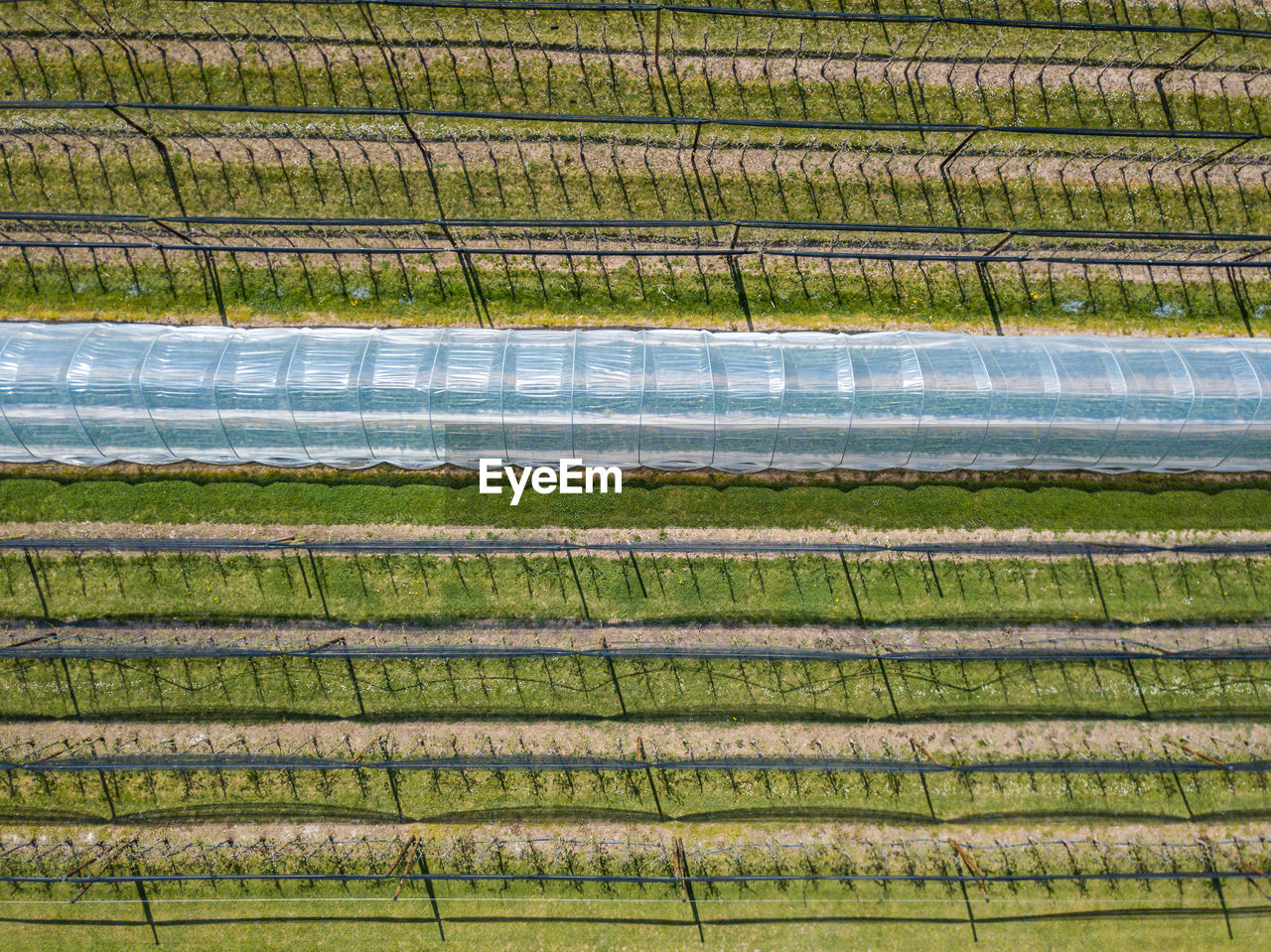 HIGH ANGLE VIEW OF FARM