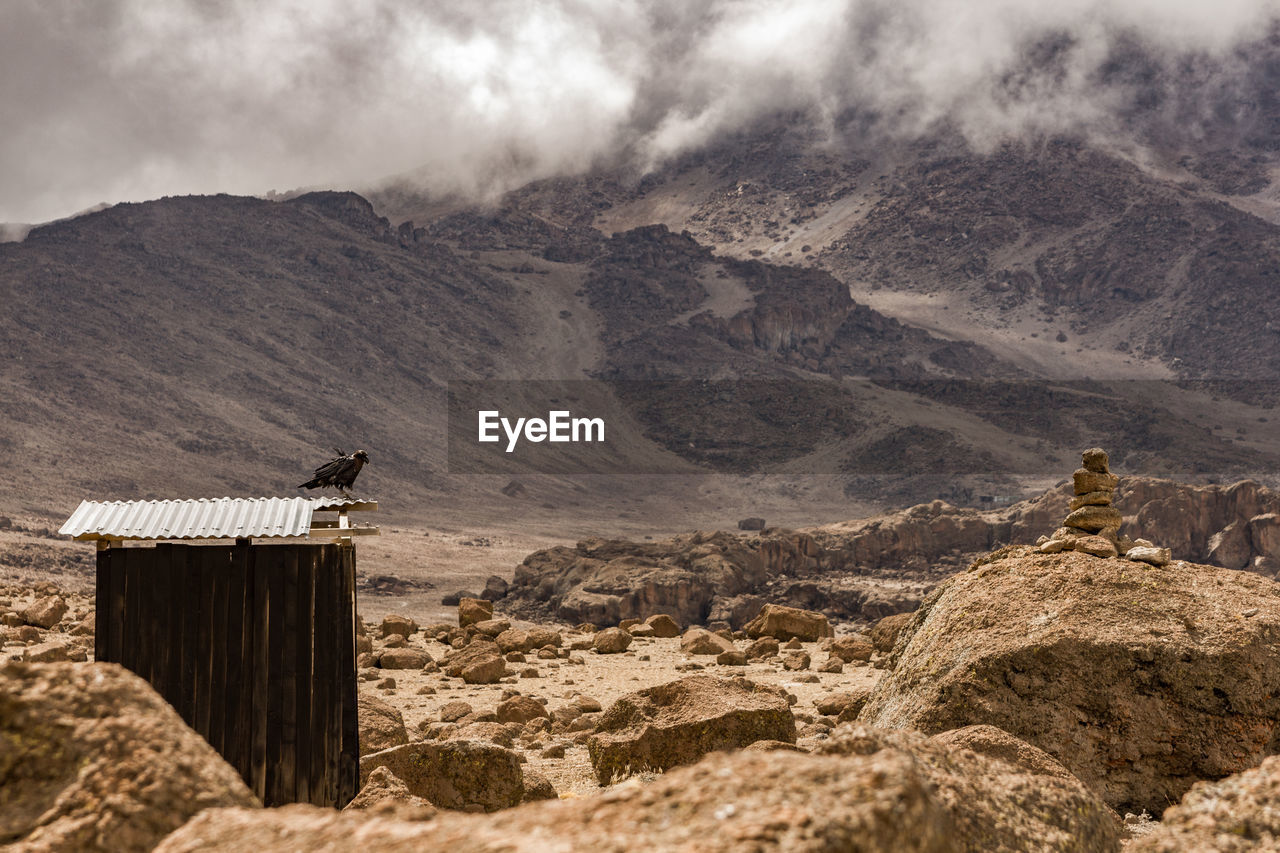 Bird perching on hut by mountains