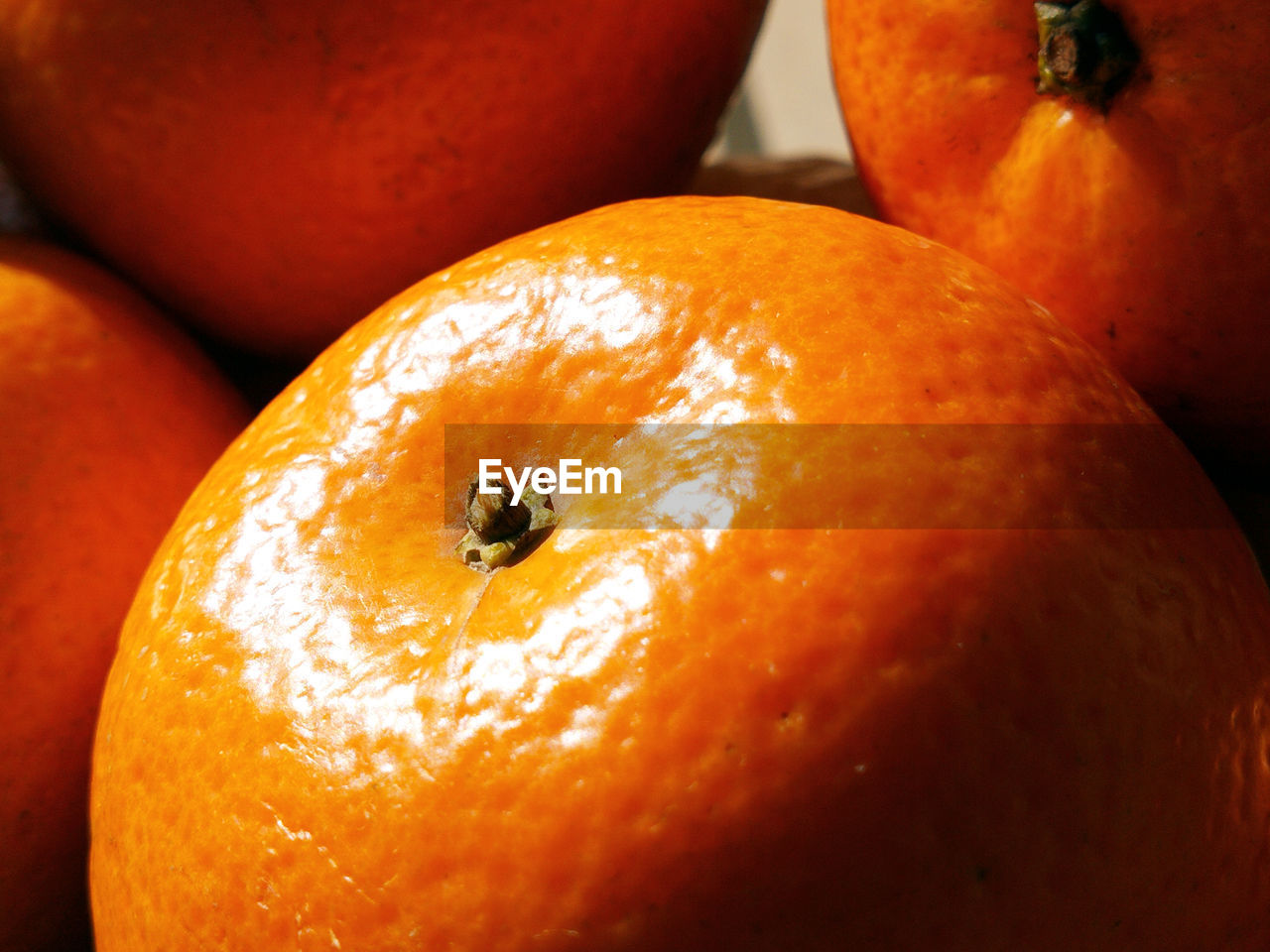 CLOSE-UP OF ORANGES