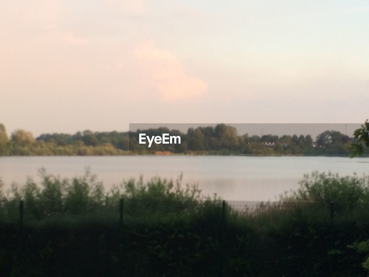 SCENIC VIEW OF LAKE BY TREES AGAINST SKY