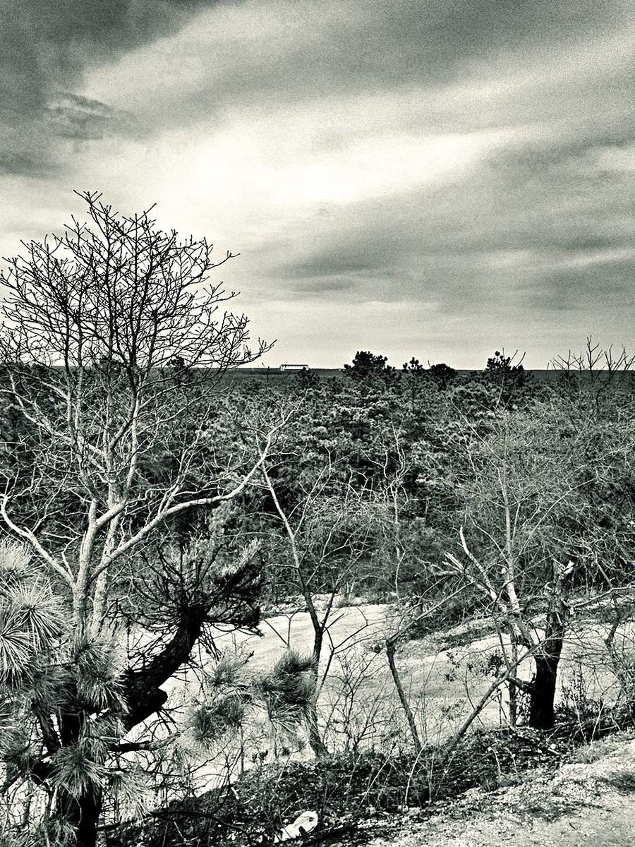 SCENIC VIEW OF LANDSCAPE AGAINST CLOUDY SKY