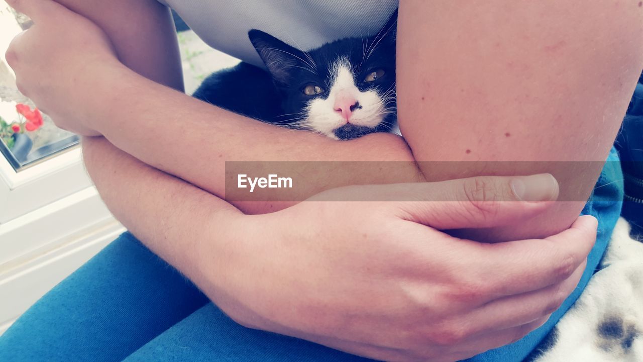 CLOSE-UP OF KITTEN SITTING WITH HANDS