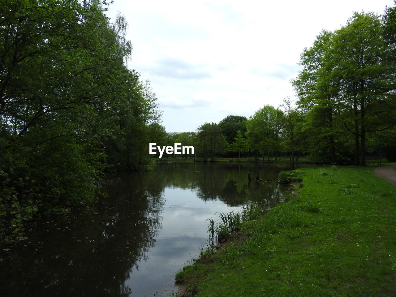 SCENIC VIEW OF LAKE BY TREES IN FOREST