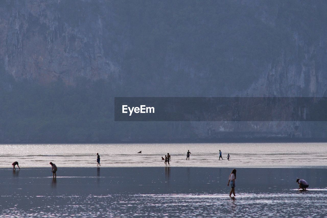 People enjoying at beach