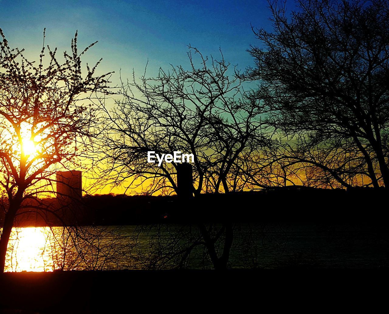 SILHOUETTE BARE TREES BY LAKE AGAINST SKY AT SUNSET