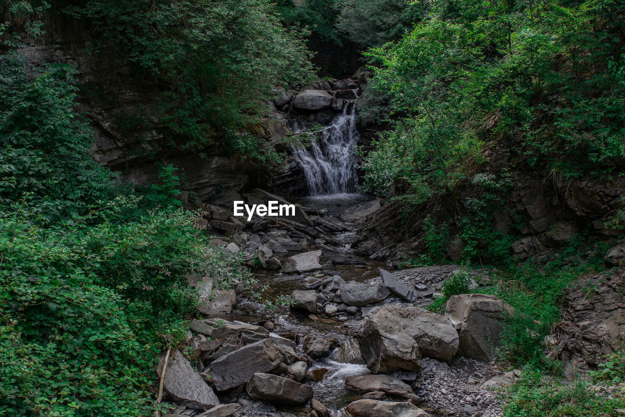 plant, tree, waterfall, forest, nature, wilderness, land, beauty in nature, stream, water feature, rock, scenics - nature, jungle, green, water, no people, rainforest, woodland, growth, natural environment, environment, non-urban scene, day, flowing water, motion, tranquility, outdoors, long exposure, lush foliage, foliage, vegetation, ravine, trail, old-growth forest, body of water, tranquil scene, watercourse, state park, flowing