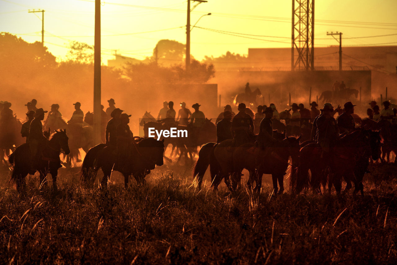 People riding horses on field during sunset