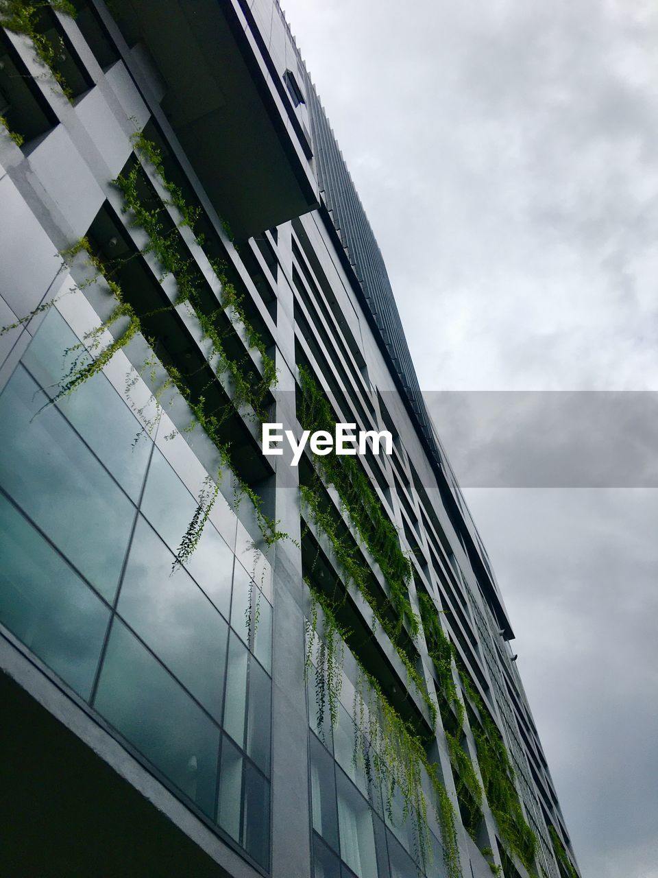 LOW ANGLE VIEW OF GLASS BUILDING AGAINST SKY