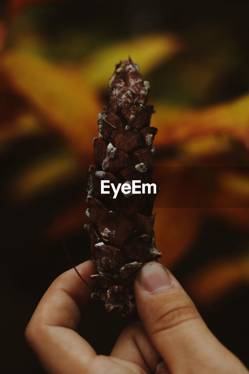 CLOSE-UP OF HAND HOLDING ICE CREAM