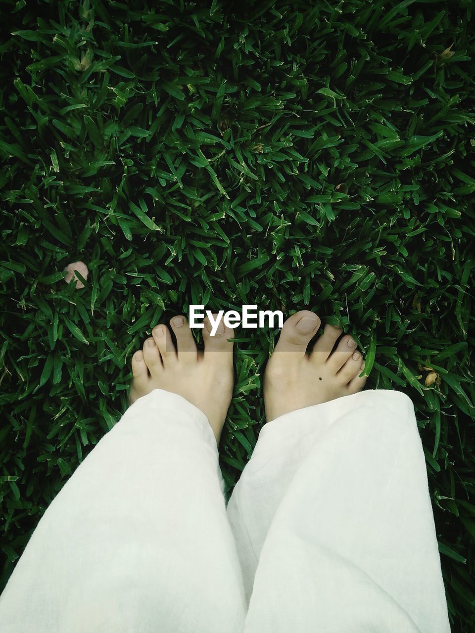 Bare feet on grass