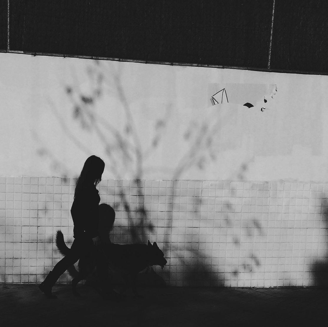 Silhouette of woman walking with dog